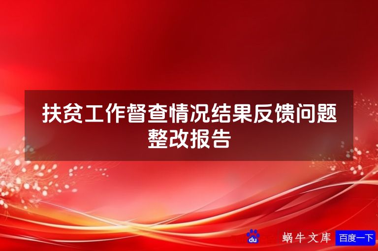 扶贫工作督查情况结果反馈问题整改报告