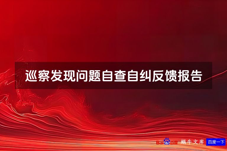 巡察发现问题自查自纠反馈报告