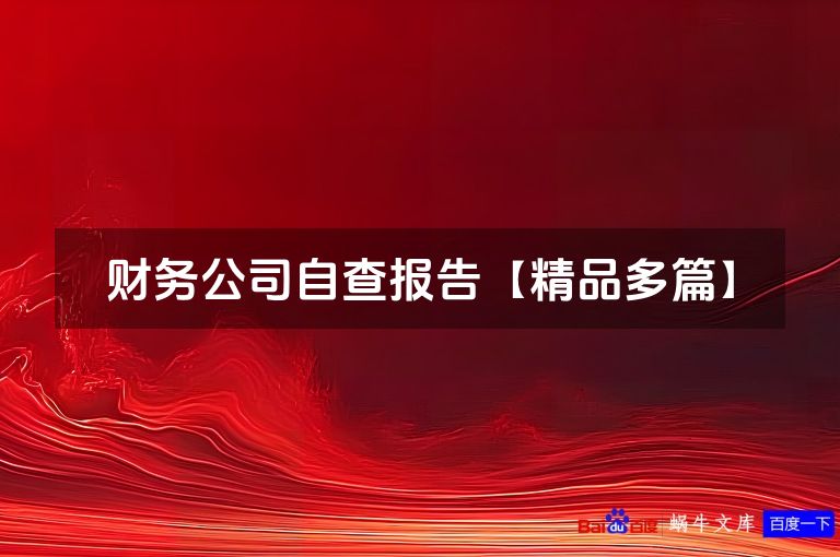 财务公司自查报告【精品最新本】