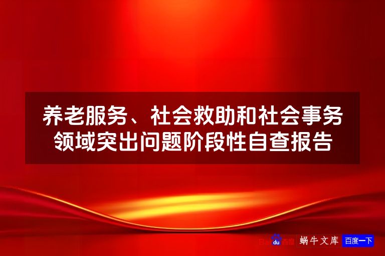 养老服务、社会救助和社会事务领域突出问题阶段性自查报告