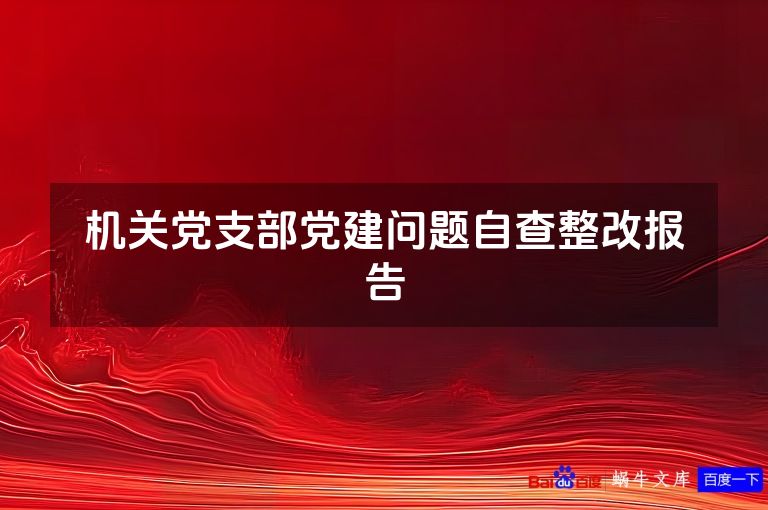 机关党支部党建问题自查整改报告