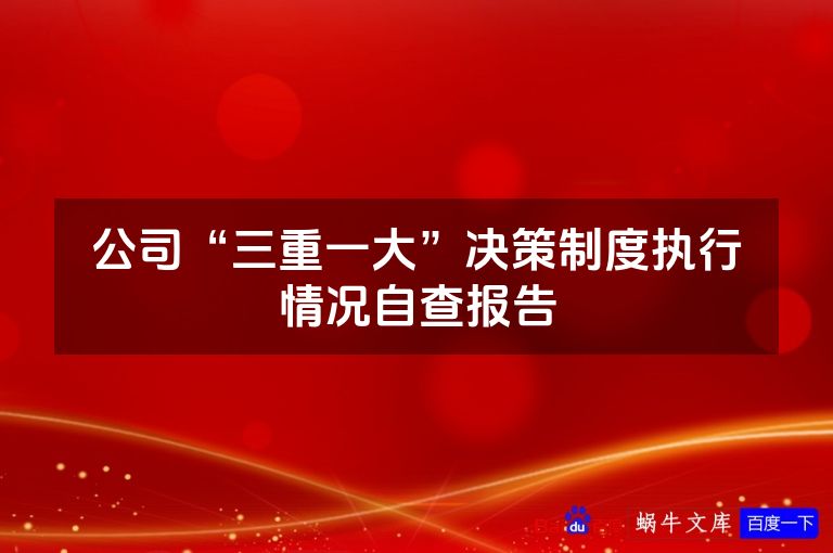 公司“三重一大”决策制度执行情况自查报告