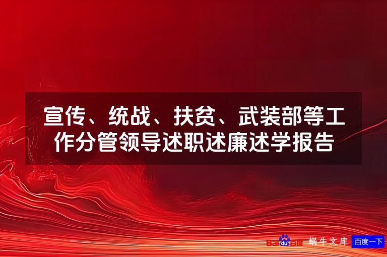 宣传、统战、扶贫、武装部等工作分管领导述职述廉述学报告
