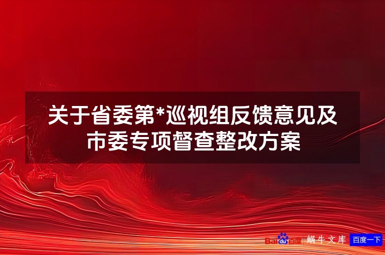 关于省委第*巡视组反馈意见及市委专项督查整改方案