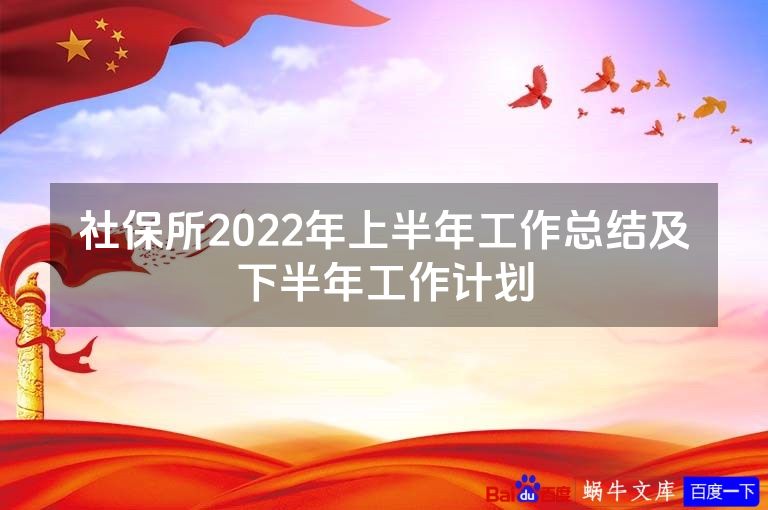 社保所2022年上半年工作总结及下半年工作计划