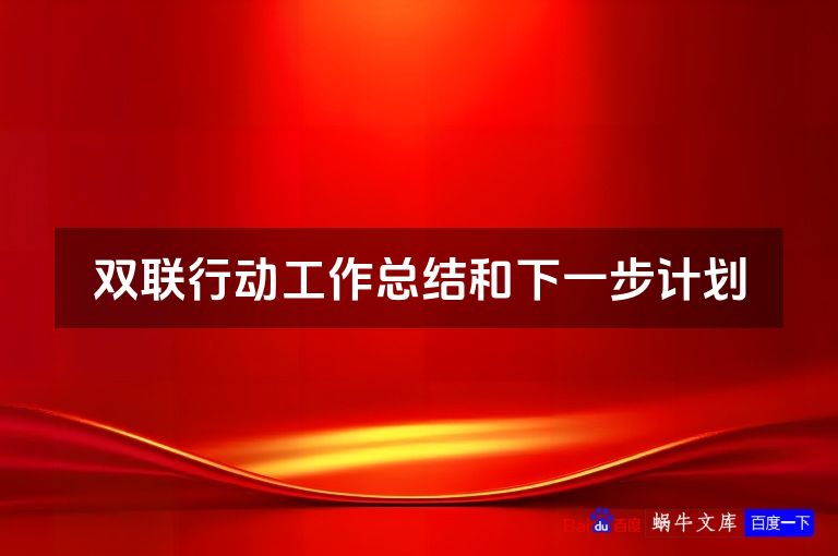 双联行动工作总结和下一步计划