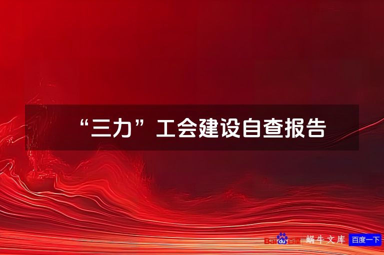 “三力”工会建设自查报告