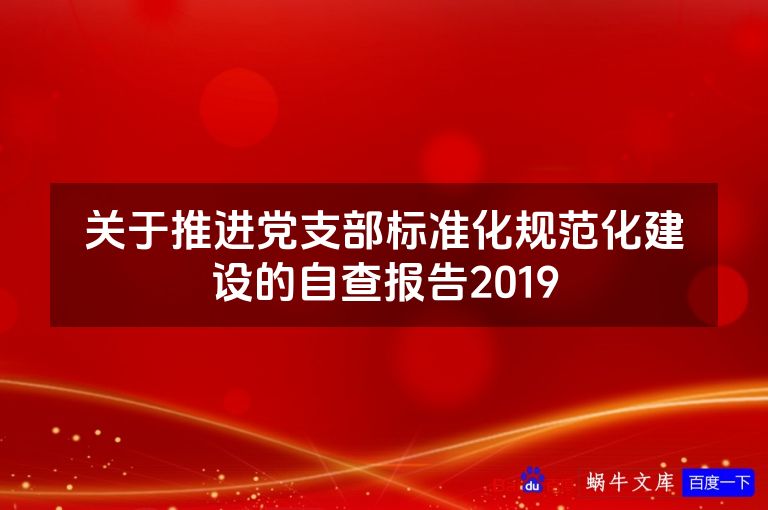 关于推进党支部标准化规范化建设的自查报告2019