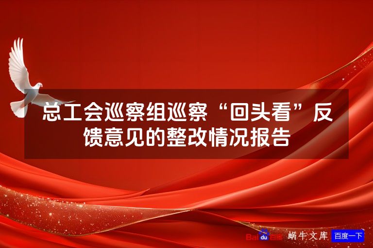 总工会巡察组巡察“回头看”反馈意见的整改情况报告