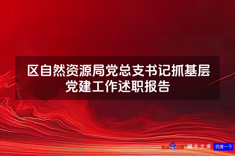 区自然资源局党总支书记抓基层党建工作述职报告