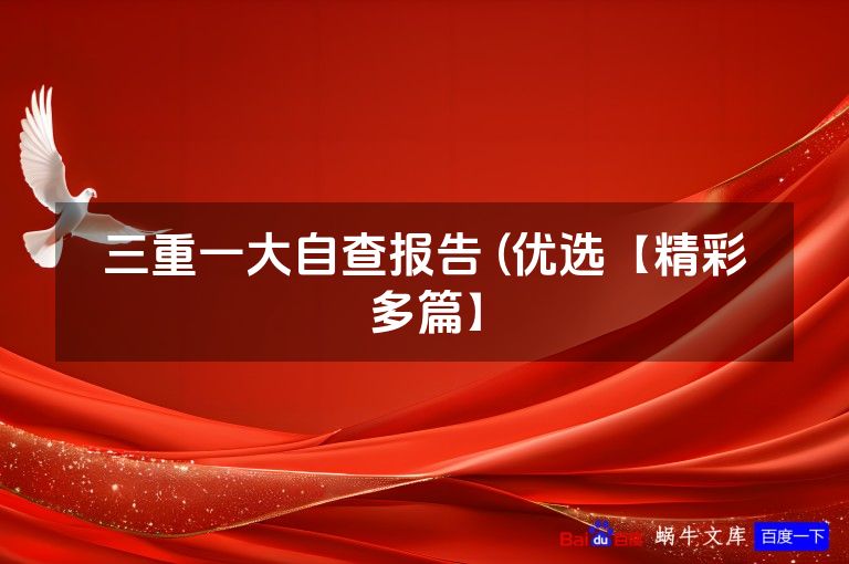 三重一大自查报告 (优选【精彩多篇】