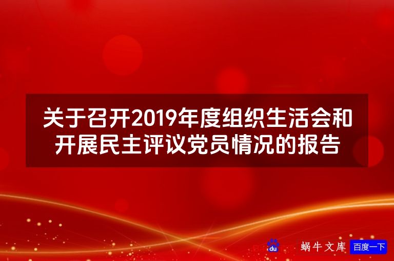关于召开2019年度组织生活会和开展民主评议党员情况的报告