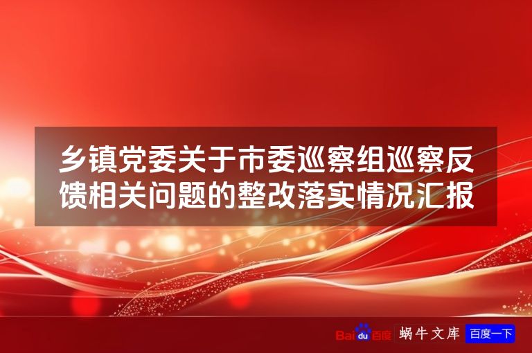 乡镇党委关于市委巡察组巡察反馈相关问题的整改落实情况汇报