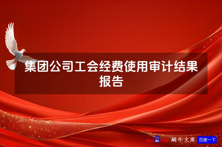 集团公司工会经费使用审计结果报告