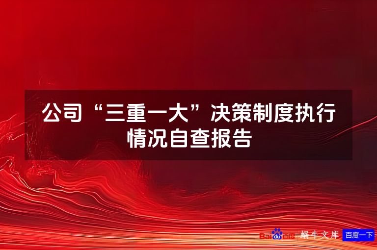 公司“三重一大”决策制度执行情况自查报告
