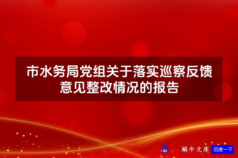 市水务局党组关于落实巡察反馈意见整改情况的报告